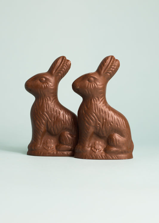 Medium Chocolate Bunny