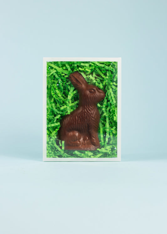 Medium Chocolate Bunny